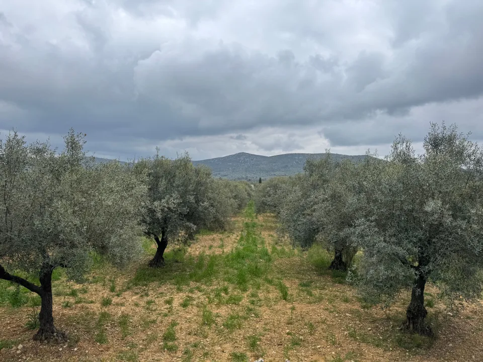 Finca en Sant Mateu, Castellon - foto 2